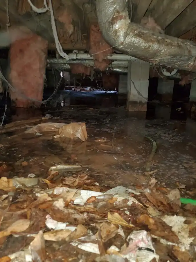 Crawl space flood assessment for Commercial Water Damage Restoration in Crete